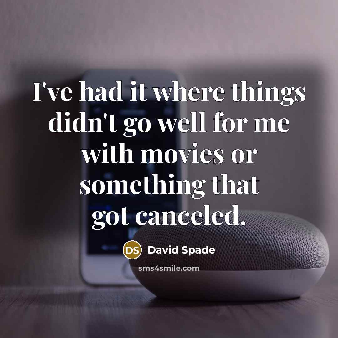 “I've had it where things didn't go well for me with movies or something that got canceled.” quote by David Spade