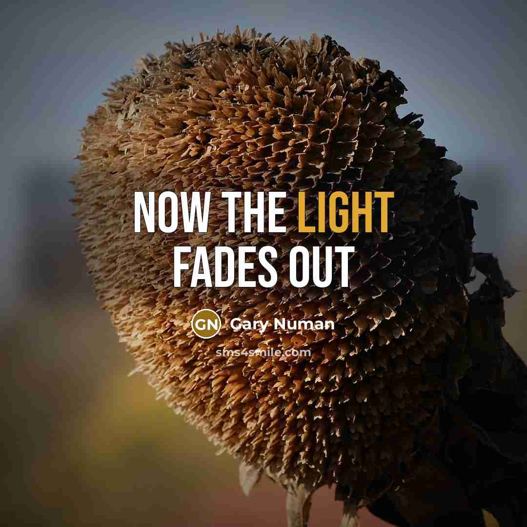 “Now the light fades out…” quote by Gary Numan