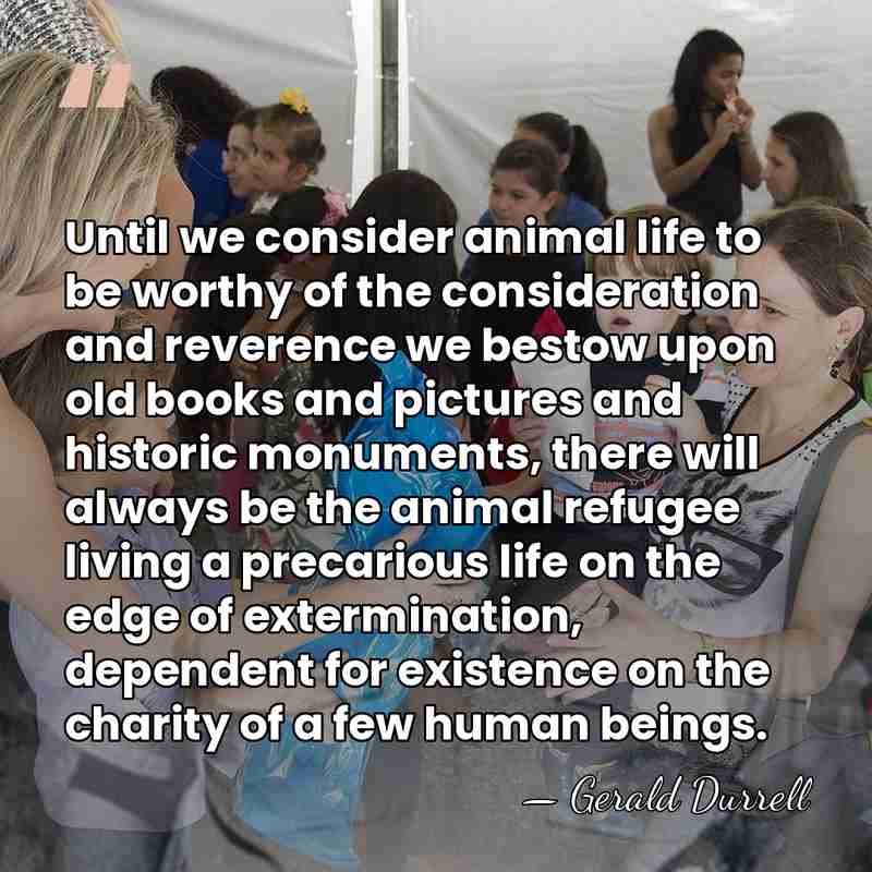 Until we consider animal life to be worthy of the consideration and&hellip; - Gerald Durrell