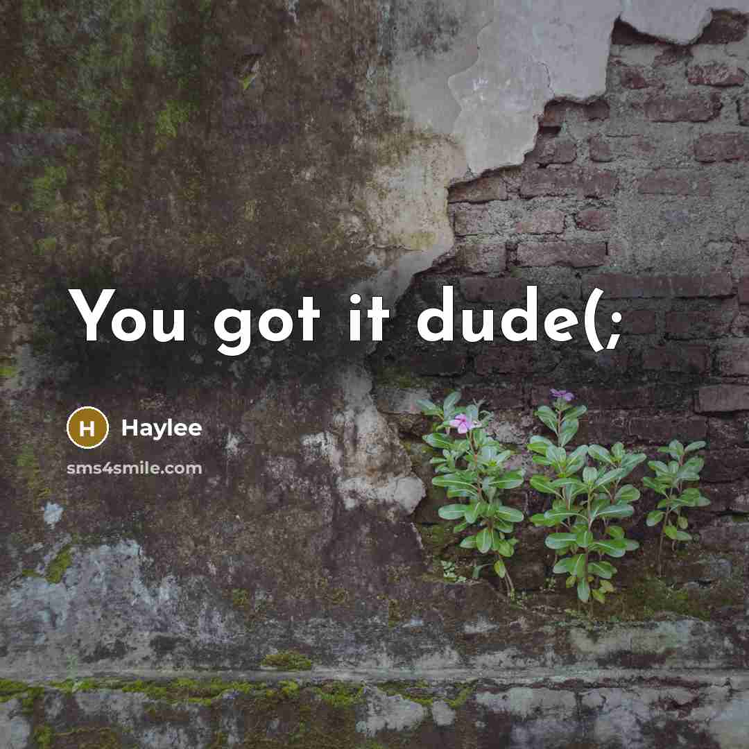 “You got it dude(;…” quote by Haylee
