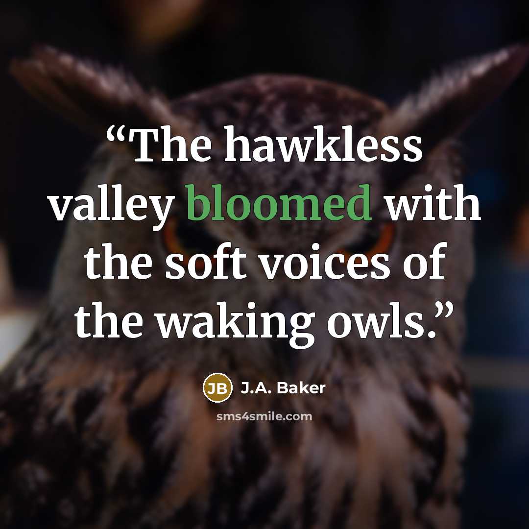 “The hawkless valley bloomed with the soft voices of the waking owls.” quote by J.A. Baker