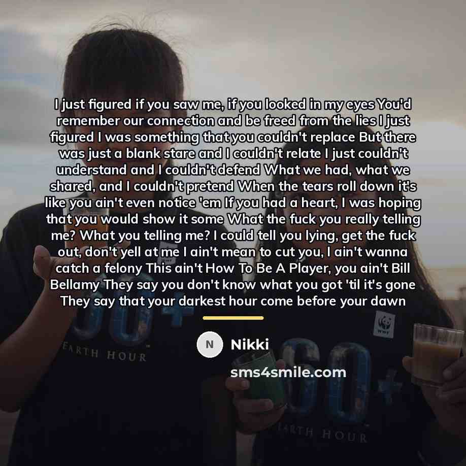 “I just figured if you saw me, if you looked…” quote by Nikki