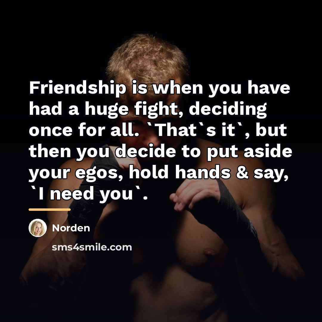 “Friendship is when you have had a huge fight, deciding…” quote by Norden
