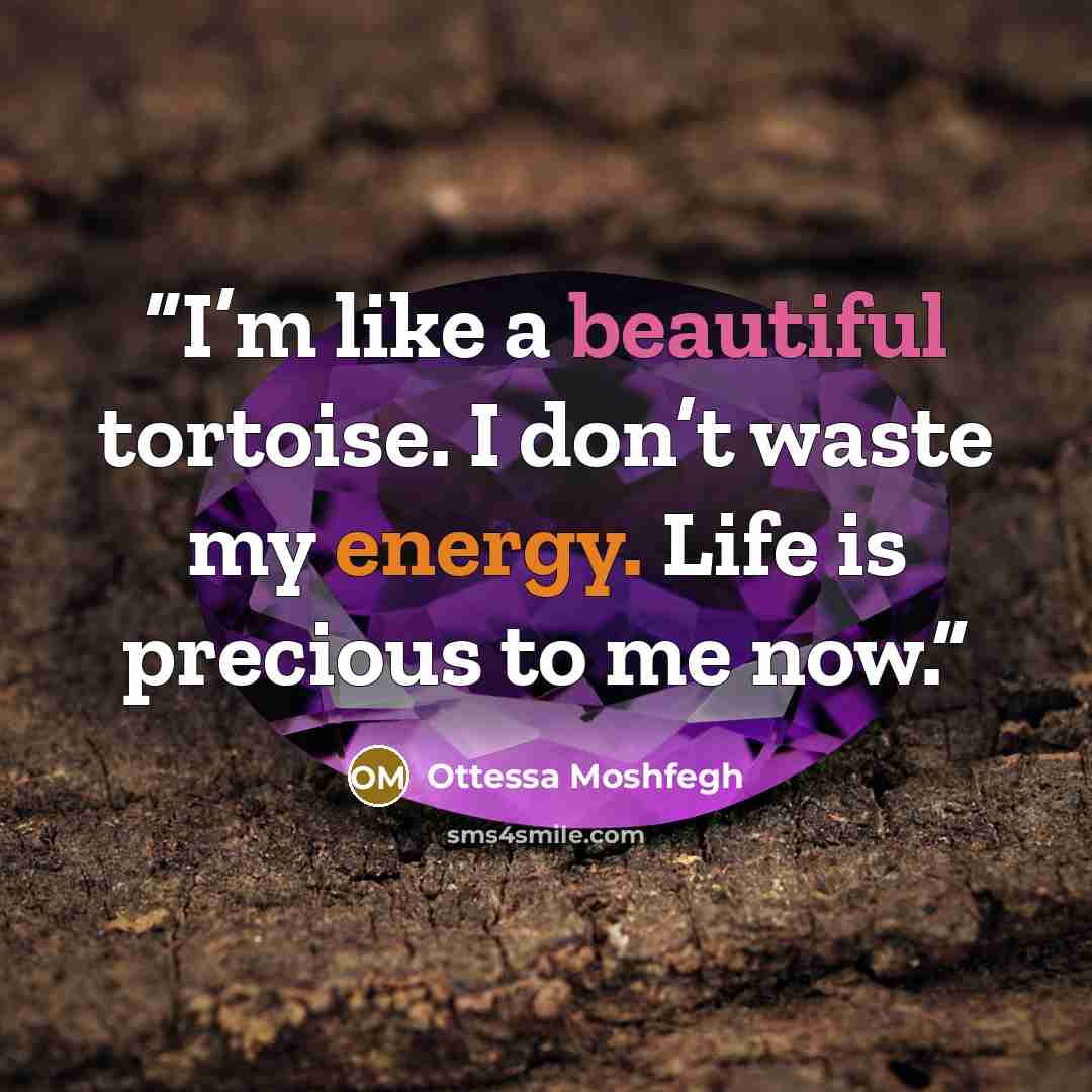 “I’m like a beautiful tortoise. I don’t waste my energy. Life is precious to me now.” quote by Ottessa Moshfegh