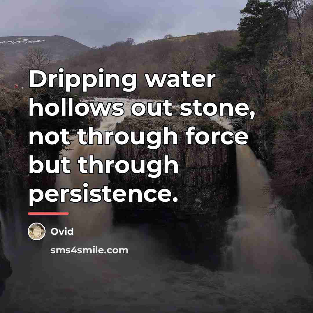“Dripping water hollows out stone, not through force but through…” quote by Ovid
