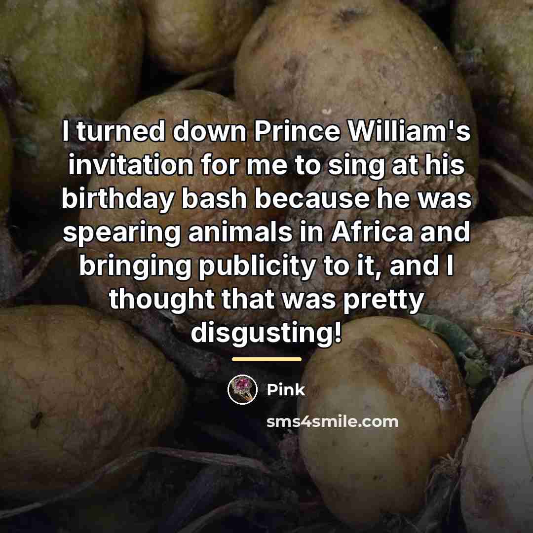 “I turned down Prince William's invitation for me to sing…” quote by Pink