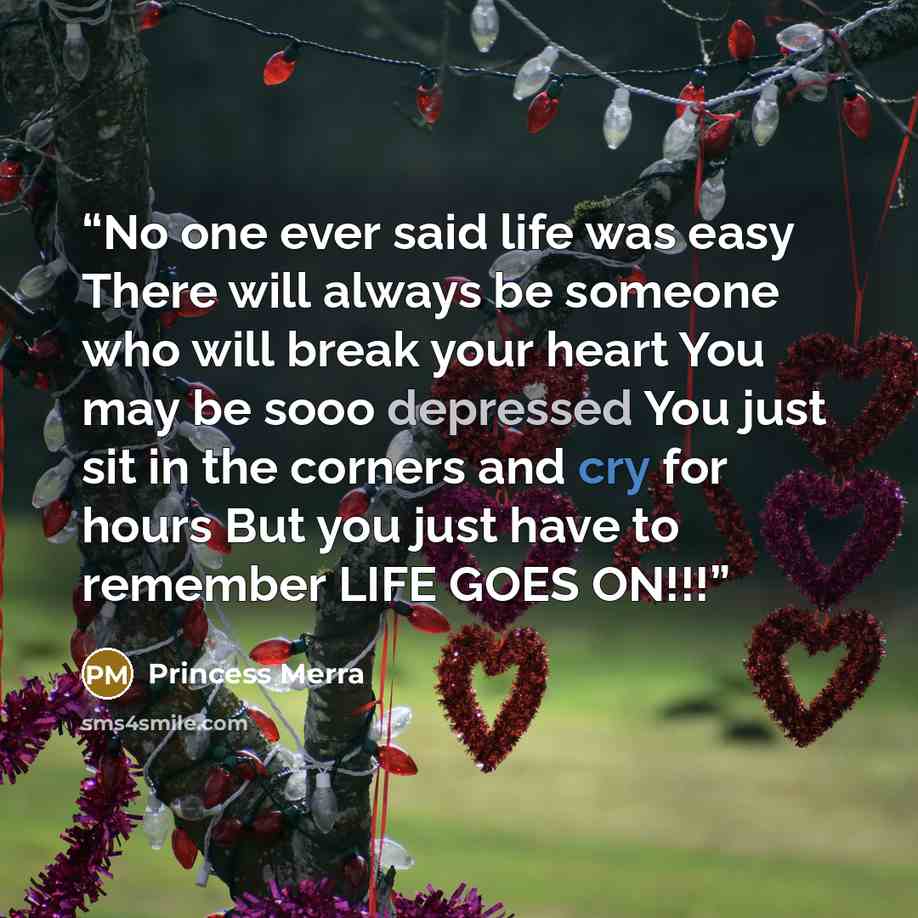 “No one ever said life was easy There will always be someone who will break your heart You may be sooo depressed You just sit in the corners and cry for hours But you just have to remember LIFE GOES ON!!!” quote by Princess Merra