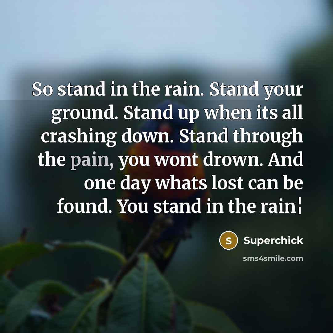 “So stand in the rain. Stand your ground. Stand up…” quote by Superchick