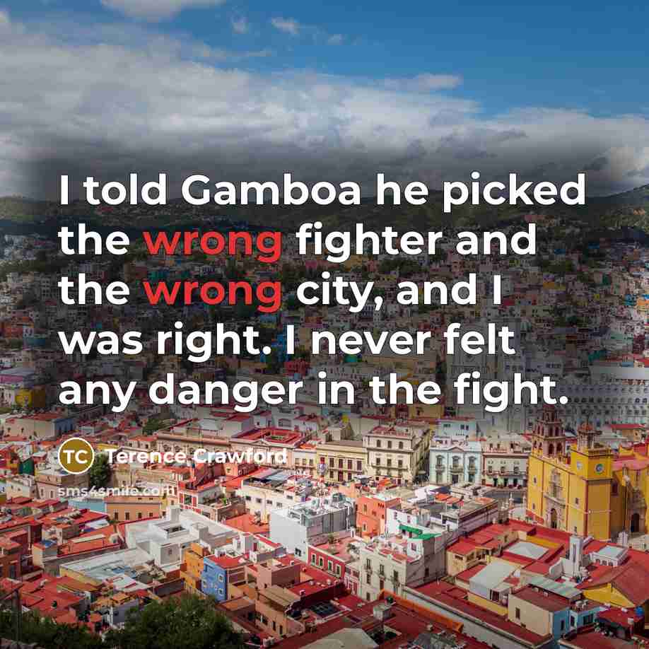 “I told Gamboa he picked the wrong fighter and the…” quote by Terence Crawford