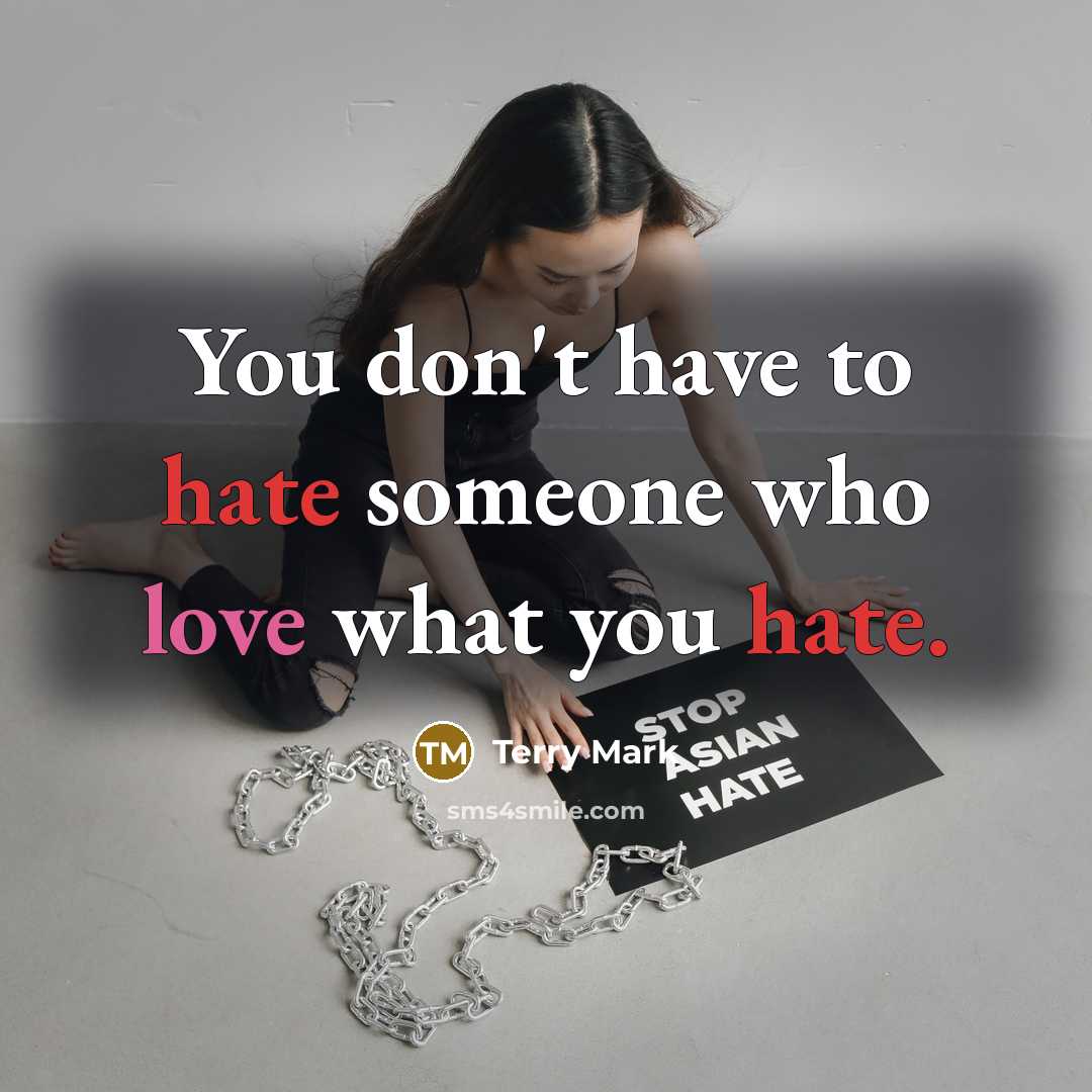 “You don't have to hate someone who love what you…” quote by Terry Mark
