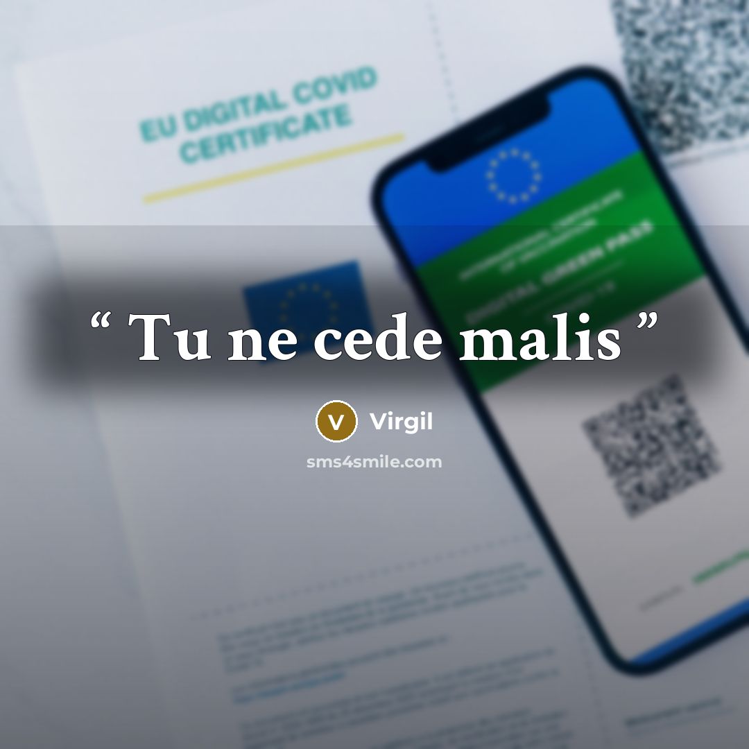“Tu ne cede malis” quote by Virgil