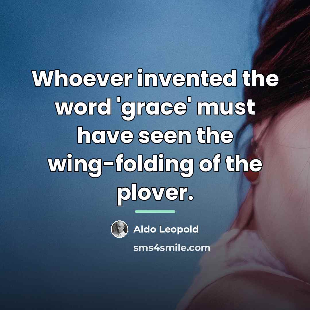 “Whoever invented the word 'grace' must have seen the wing-folding…” quote by Aldo Leopold