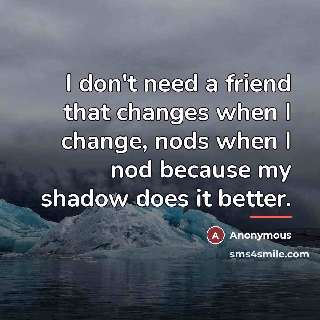 “I don't need a friend that changes when I change,…” quote by Anonymous