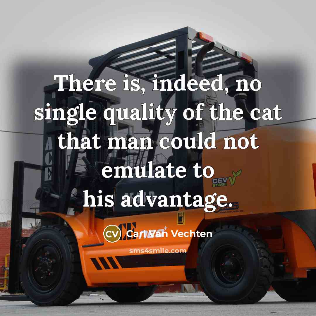 “There is, indeed, no single quality of the cat that…” quote by Carl Van Vechten