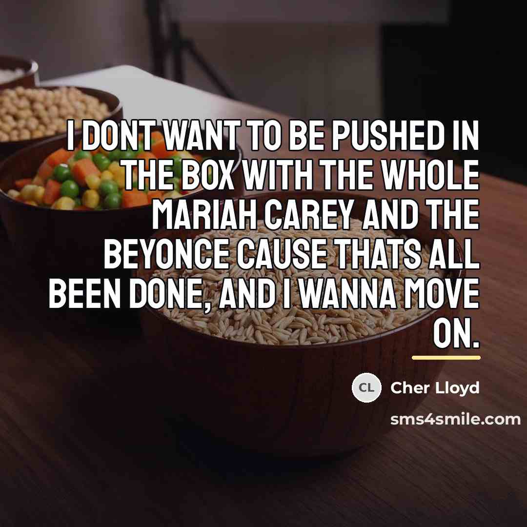“I dont want to be pushed in the box with…” quote by Cher Lloyd