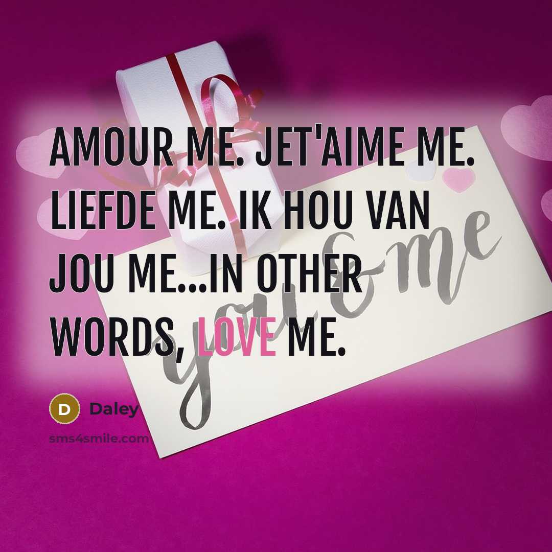“Amour me. Jet'aime me. Liefde me. Ik hou van jou me...in other words, love me.” quote by Daley