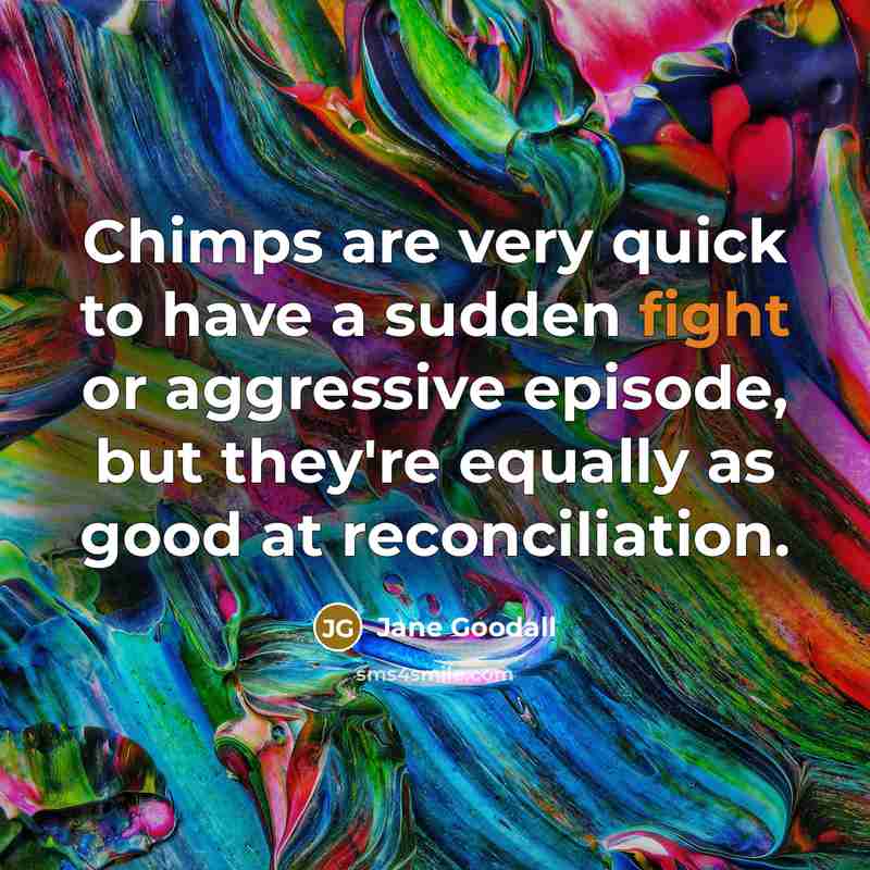 “Chimps are very quick to have a sudden fight or…” quote by Jane Goodall