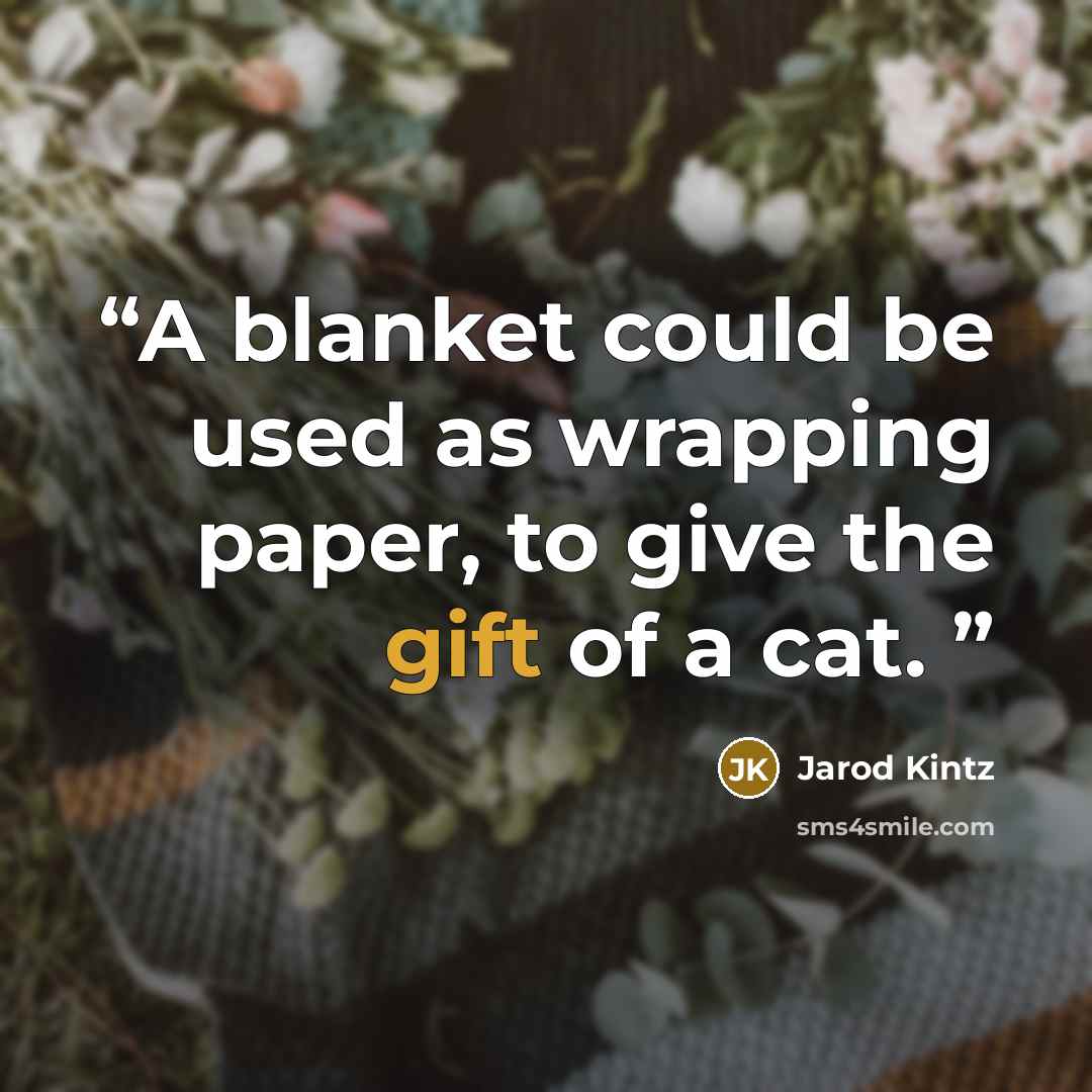 “A blanket could be used as wrapping paper, to give the gift of a cat.” quote by Jarod Kintz