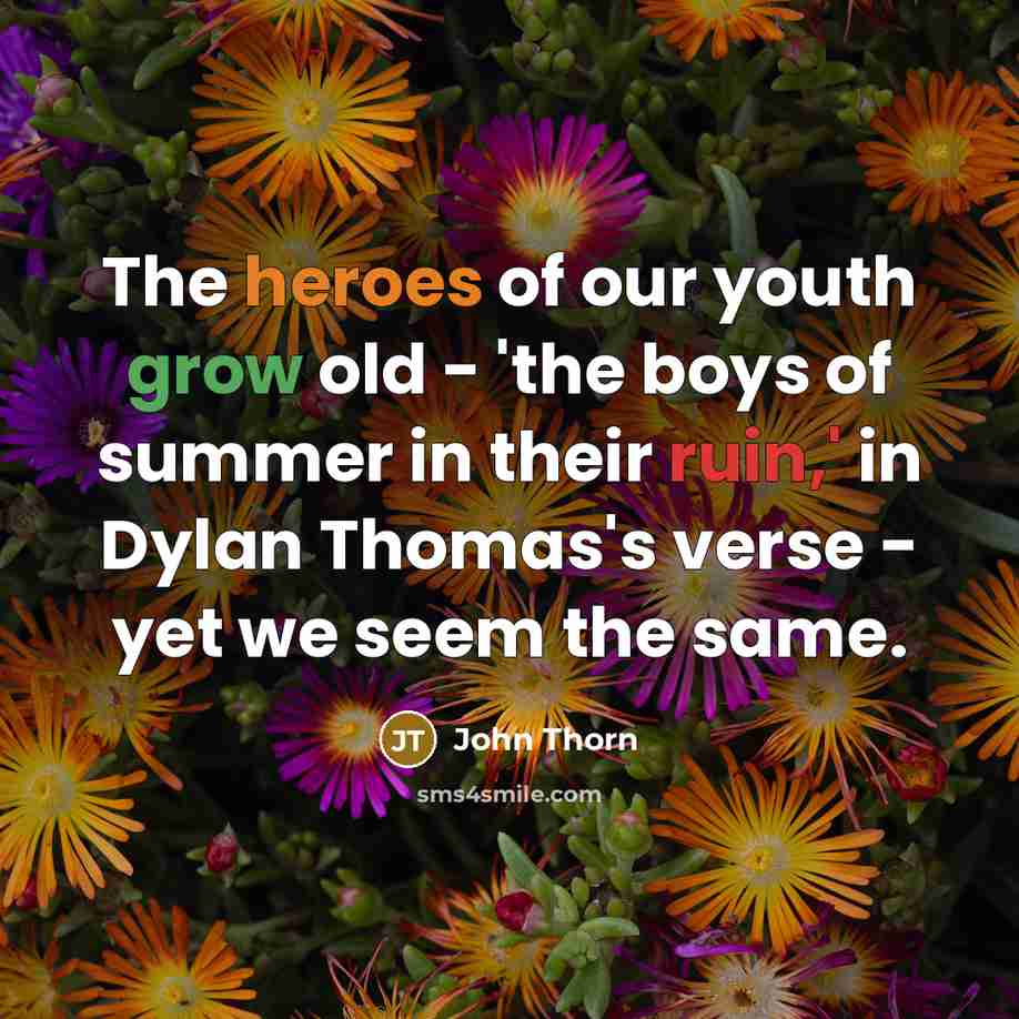 “The heroes of our youth grow old - 'the boys…” quote by John Thorn
