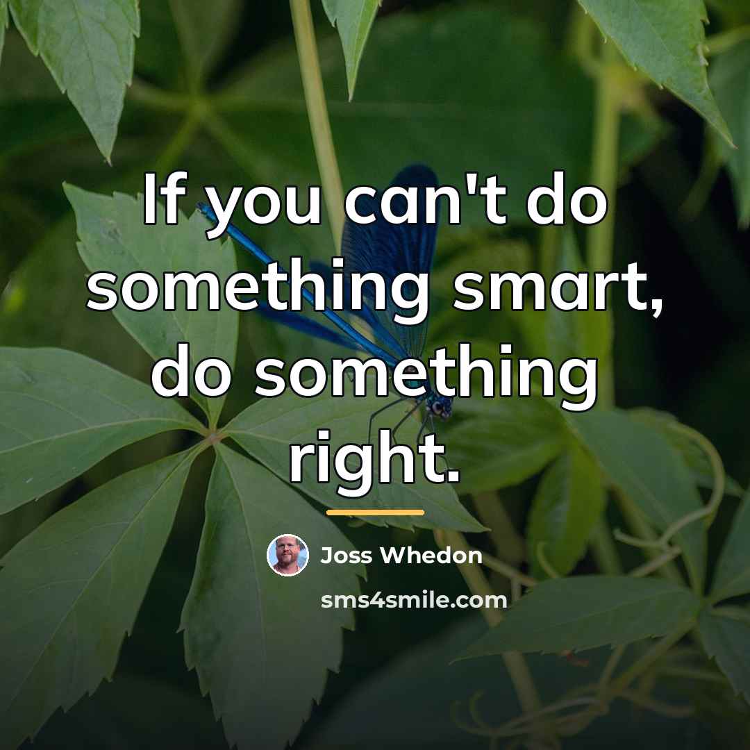“If you can't do something smart, do something right.…” quote by Joss Whedon