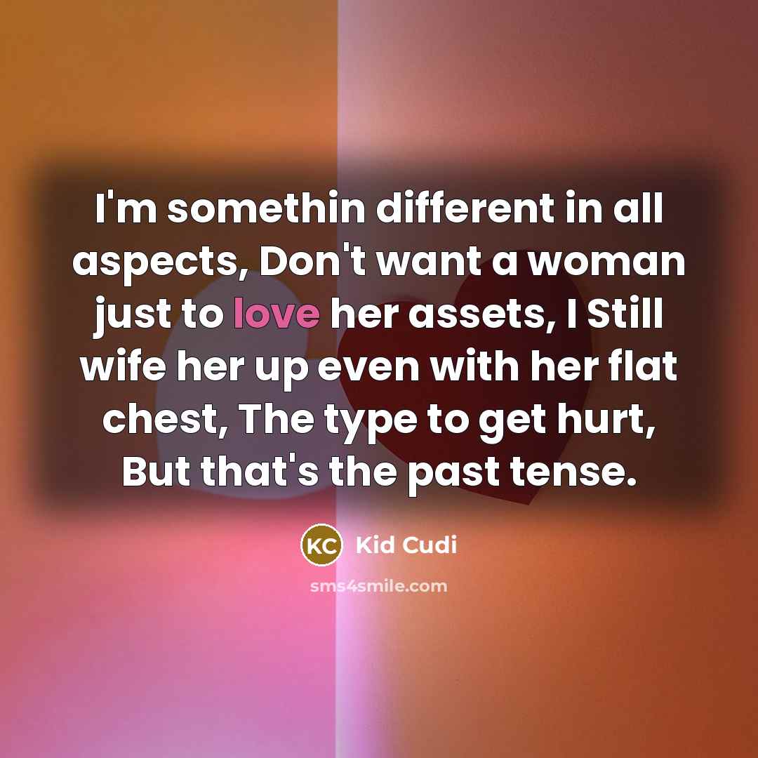 “I'm somethin different in all aspects, Don't want a woman…” quote by Kid Cudi