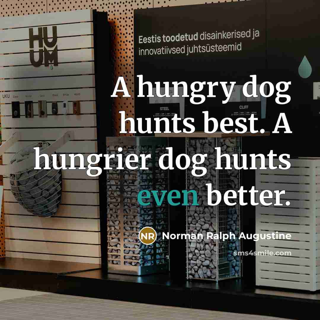 “A hungry dog hunts best. A hungrier dog hunts even…” quote by Norman Ralph Augustine