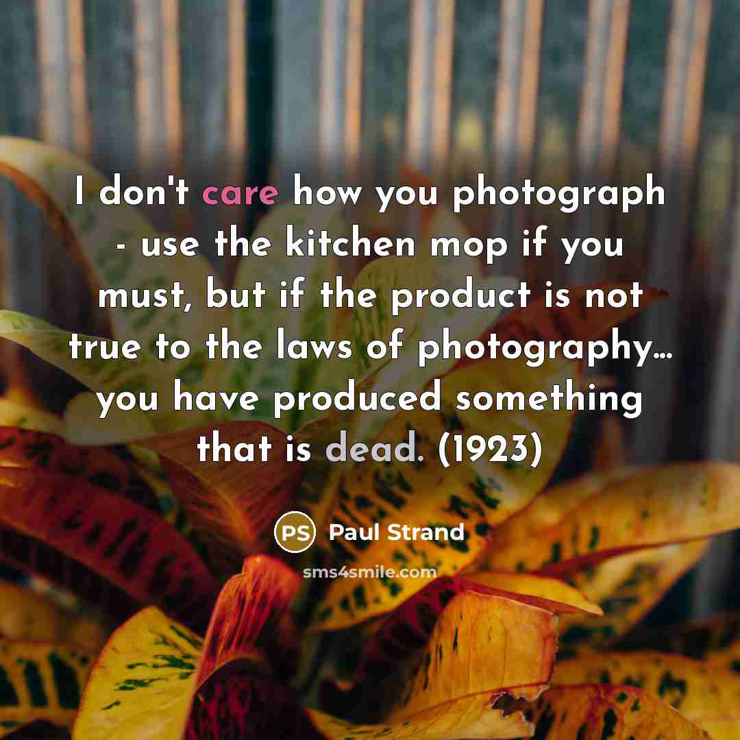 “I don't care how you photograph - use the kitchen…” quote by Paul Strand