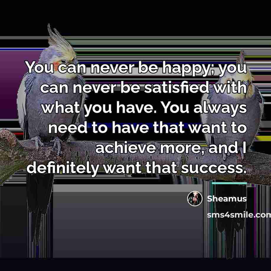 “You can never be happy; you can never be satisfied…” quote by Sheamus