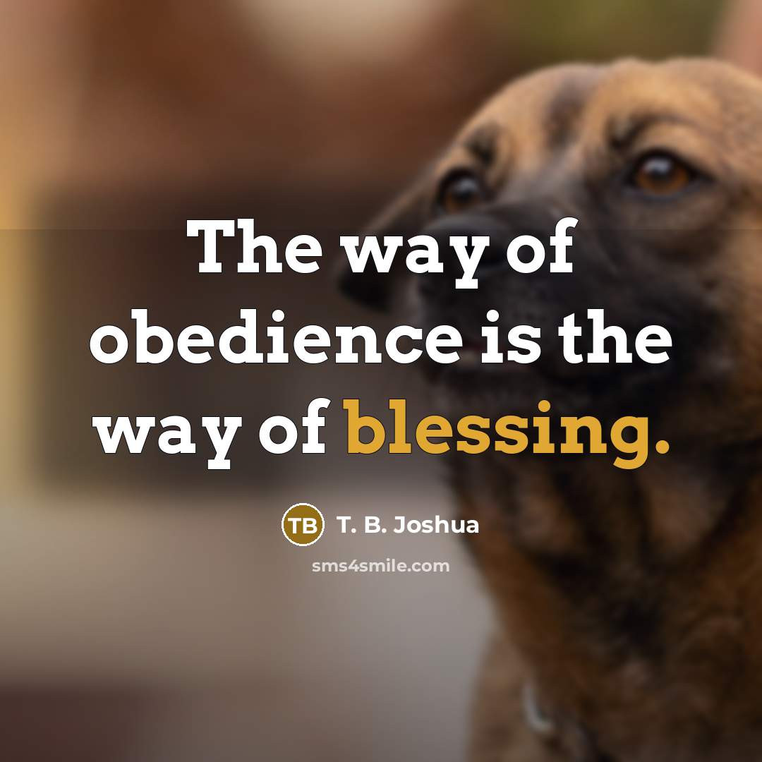 “The way of obedience is the way of blessing.…” quote by T. B. Joshua