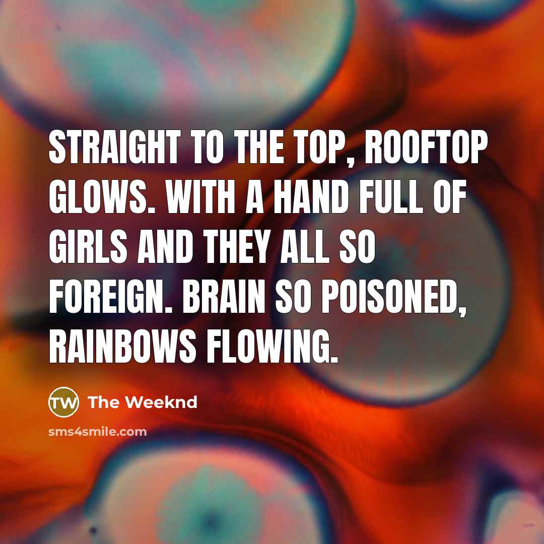 “Straight to the top, rooftop glows. With a hand full…” quote by The Weeknd