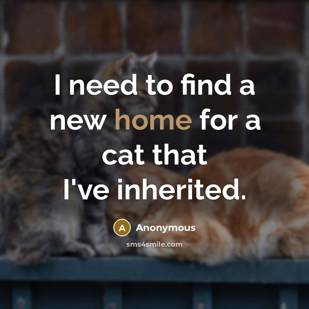 “I need to find a new home for a cat that I've inherited.” quote by Anonymous