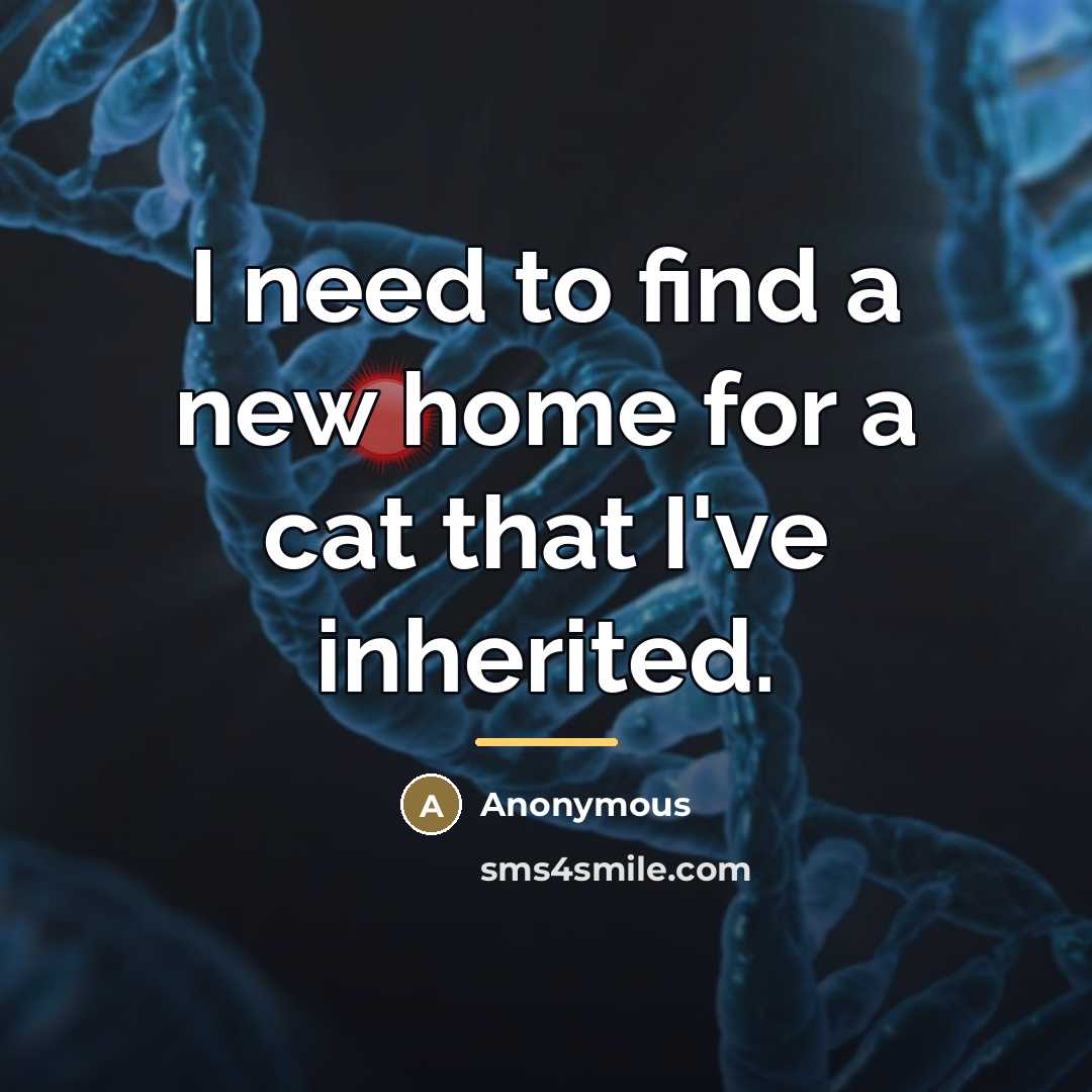 “I need to find a new home for a cat…” quote by Anonymous