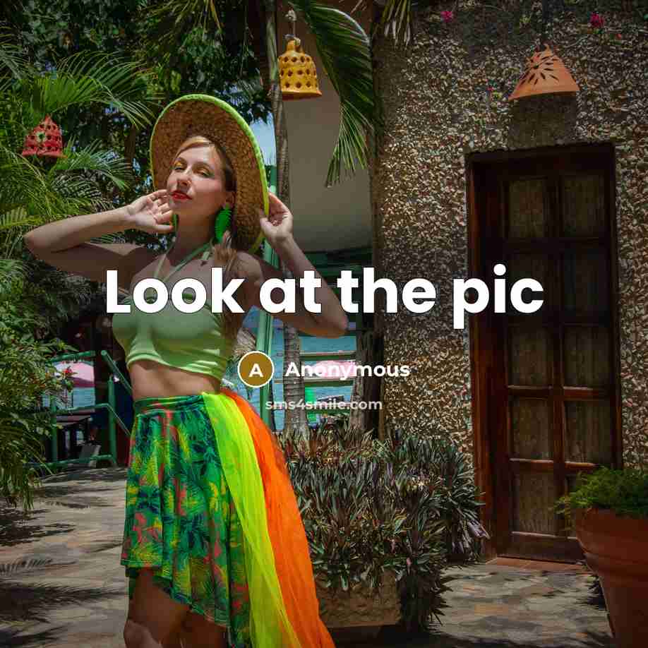 “Look at the pic…” quote by Anonymous