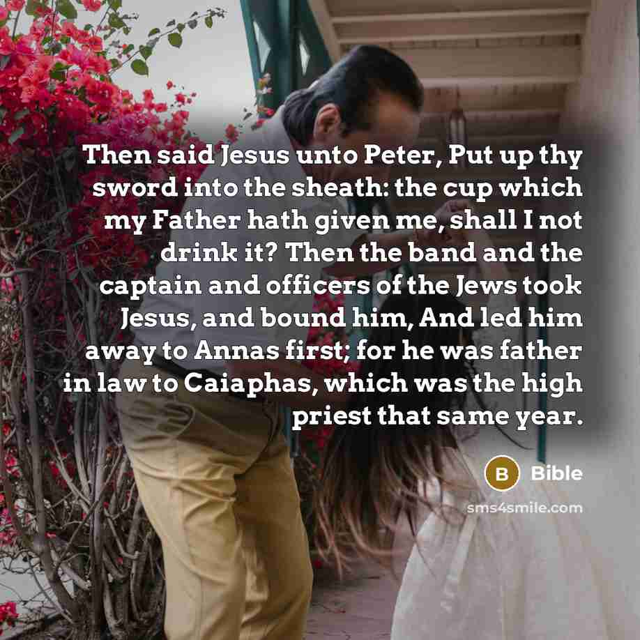 “Then said Jesus unto Peter, Put up thy sword into…” quote by Bible