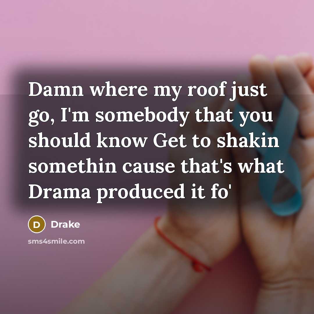 “Damn where my roof just go, I'm somebody that you…” quote by Drake