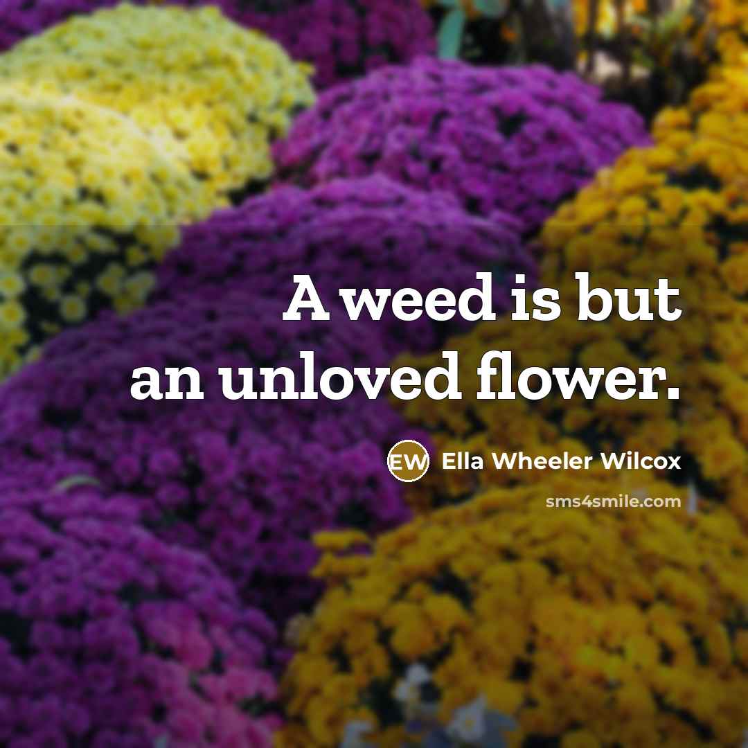 “A weed is but an unloved flower.…” quote by Ella Wheeler Wilcox