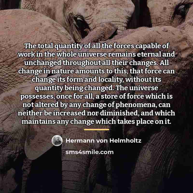 “The total quantity of all the forces capable of work…” quote by Hermann von Helmholtz