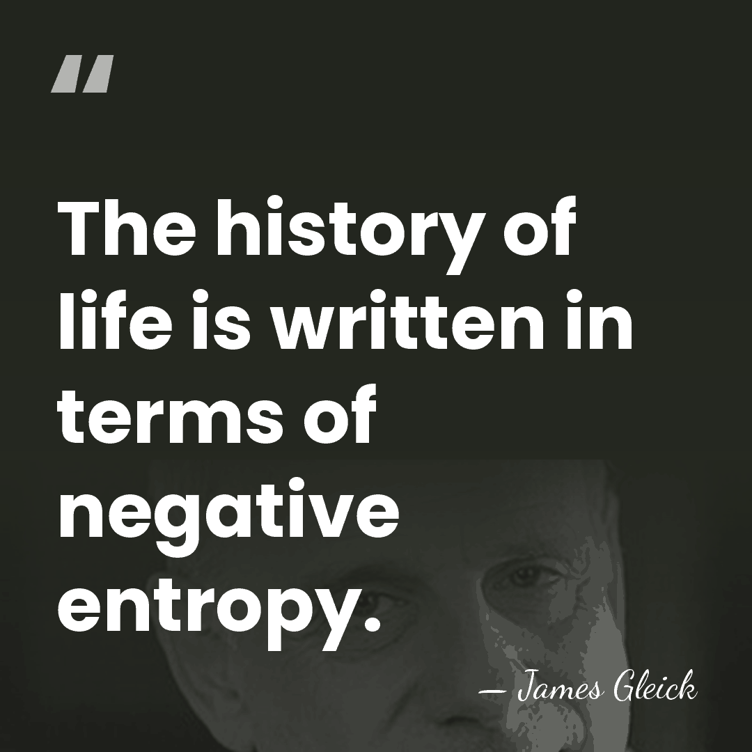 The history of life is written in terms of negative entropy. - James Gleick