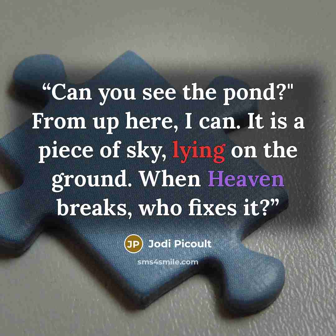 “Can you see the pond?" From up here, I can. It is a piece of sky, lying on the ground. When Heaven breaks, who fixes it?” quote by Jodi Picoult