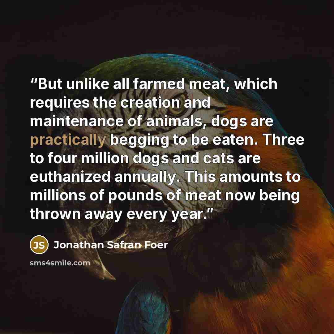 “But unlike all farmed meat, which requires the creation and maintenance of animals, dogs are practically begging to be eaten. Three to four million dogs and cats are euthanized annually. This amounts to millions of pounds of meat now being thrown away every year.” quote by Jonathan Safran Foer