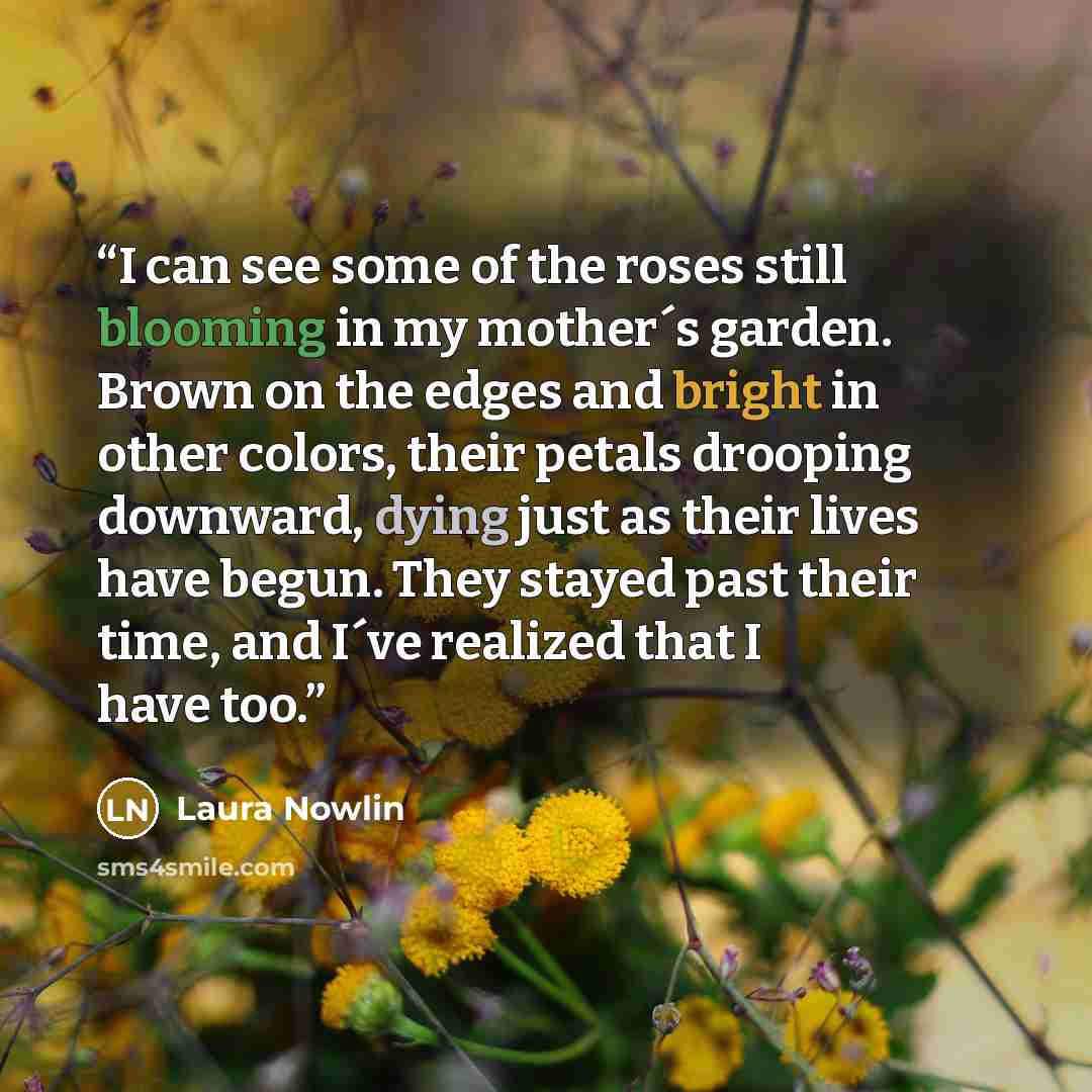 “I can see some of the roses still blooming in my mother´s garden. Brown on the edges and bright in other colors, their petals drooping downward, dying just as their lives have begun. They stayed past their time, and I´ve realized that I have too.” quote by Laura Nowlin