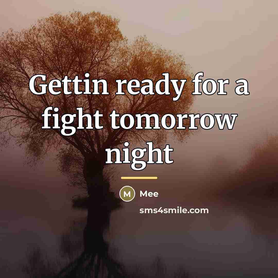 “Gettin ready for a fight tomorrow night…” quote by Mee