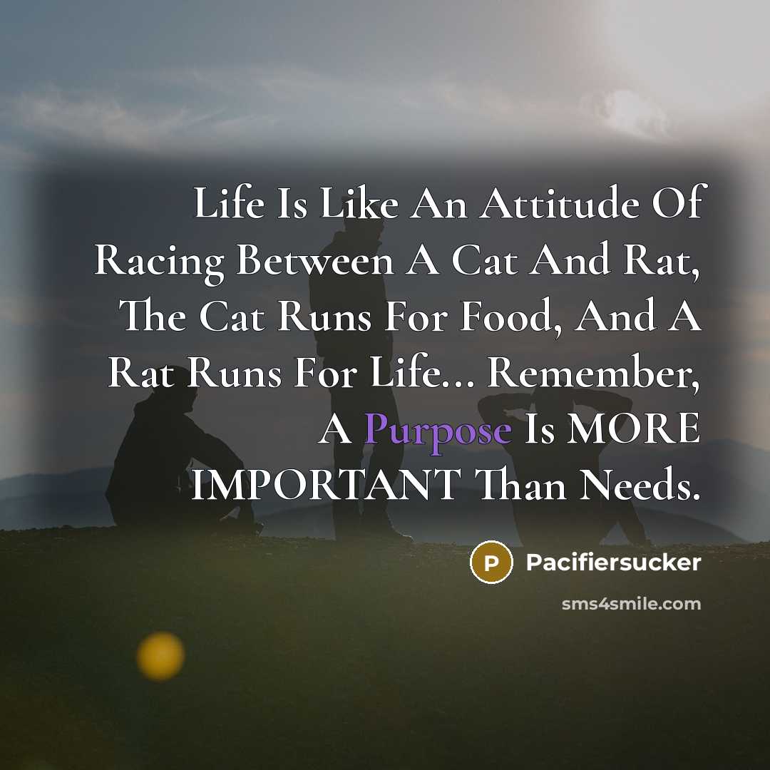 “Life Is Like An Attitude Of Racing Between A Cat…” quote by Pacifiersucker
