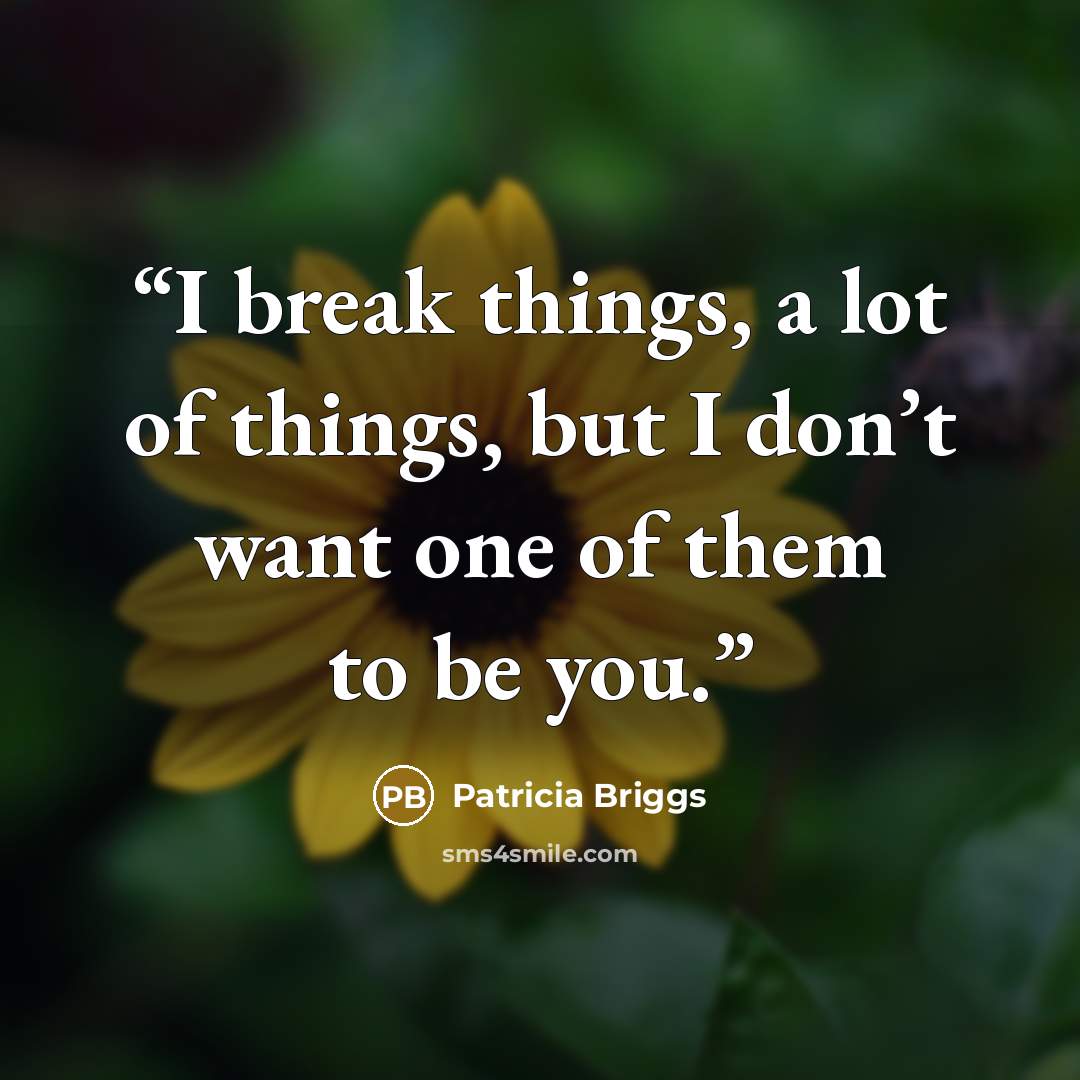 “I break things, a lot of things, but I don’t want one of them to be you.” quote by Patricia Briggs
