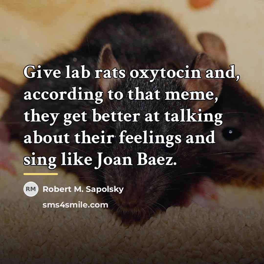“Give lab rats oxytocin and, according to that meme, they…” quote by Robert M. Sapolsky