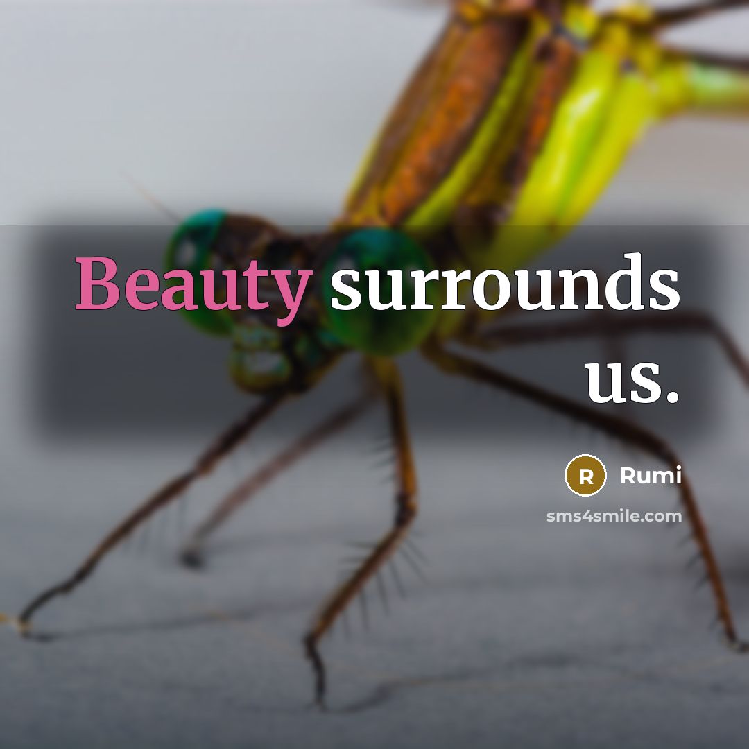 “Beauty surrounds us.” quote by Rumi