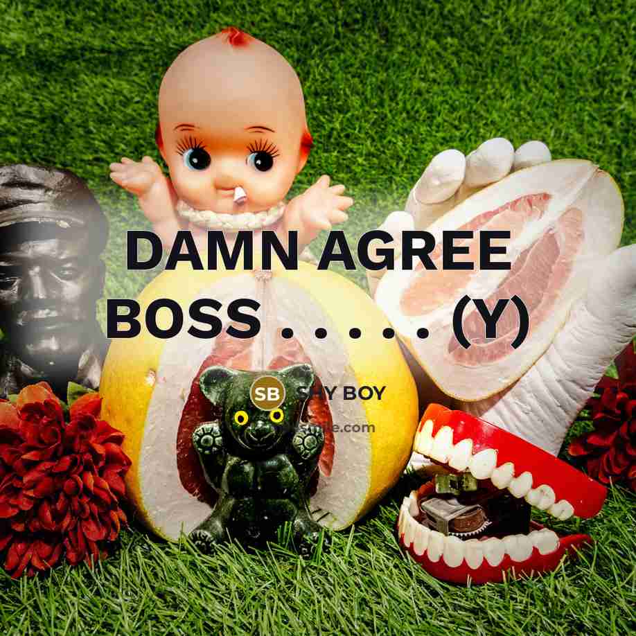 “DAMN AGREE BOSS . . . . . (Y)” quote by SHY BOY
