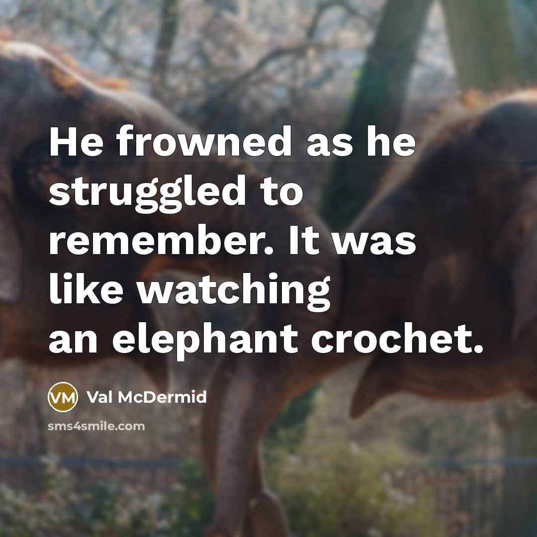 “He frowned as he struggled to remember. It was like…” quote by Val McDermid