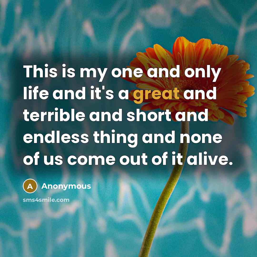 “This is my one and only life and it's a…” quote by Anonymous