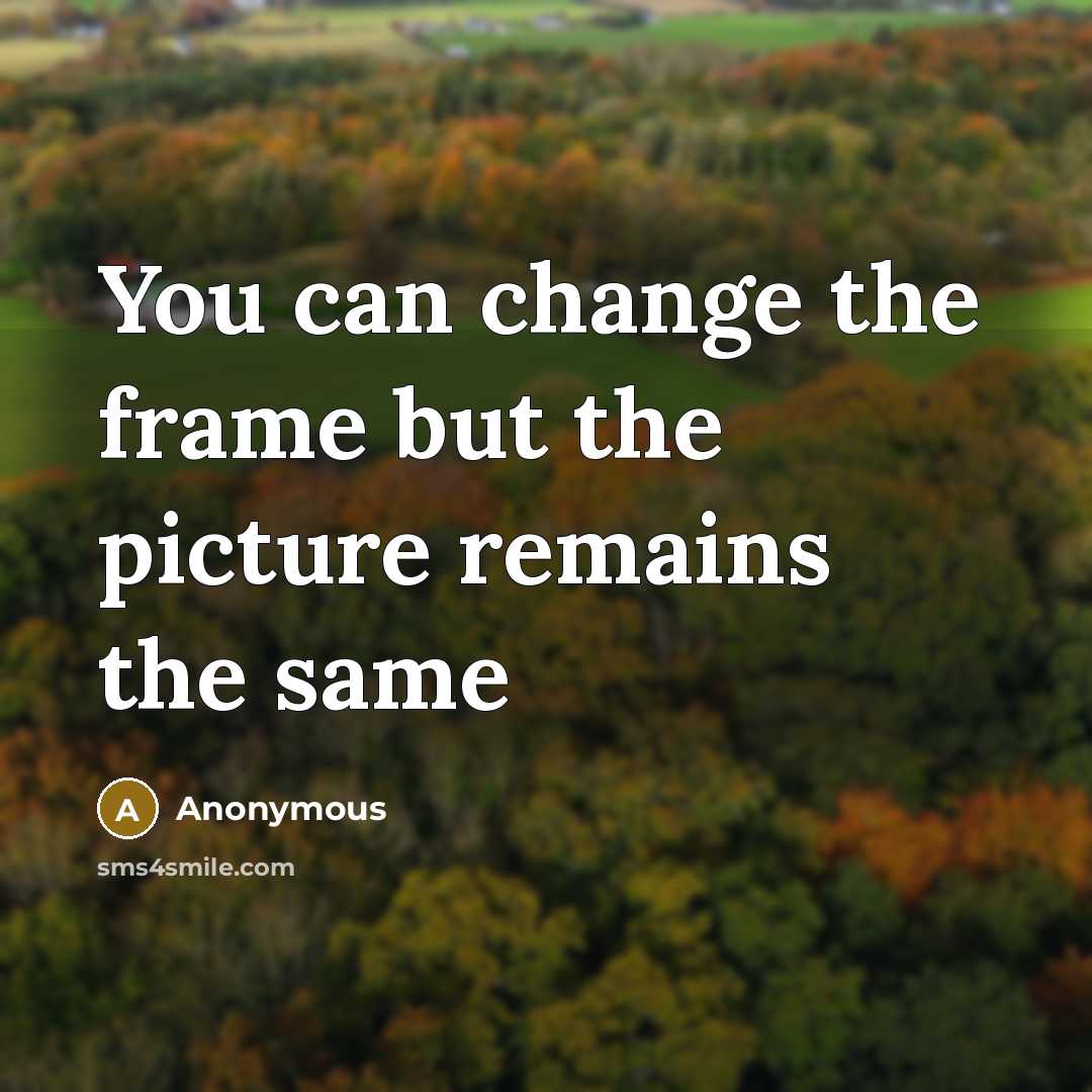 “You can change the frame but the picture remains the same” quote by Anonymous